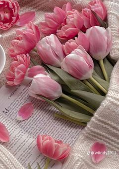 フローズン･マルガリータ