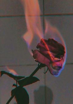 求愛性少女症候群