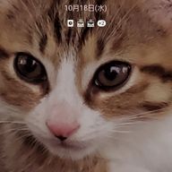 はなまるさんのアイコン画像