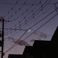 Hanoさんのアイコン画像