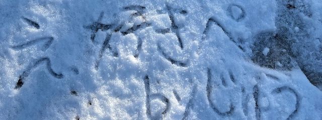 こうこうさんの壁紙画像