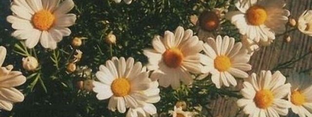 ヨンジュンの鎖骨さんの壁紙画像