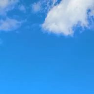 赤ちゃん毛さんのアイコン画像