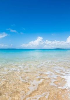 フォロバ企画等!!