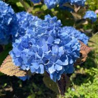 なーさんさんのアイコン画像