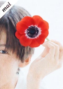 蓮、この花の名前教えてあげる。 ーアネモネー