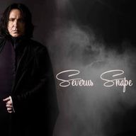 セブの嫁さんのアイコン画像