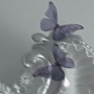 Harukaさんのアイコン画像