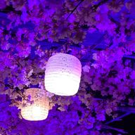 主さんのアイコン画像