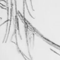 . 🐯🤍  ⏜   さんのアイコン画像