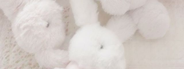 ぁめさんの壁紙画像