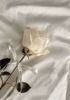 私の彼氏は先生です.