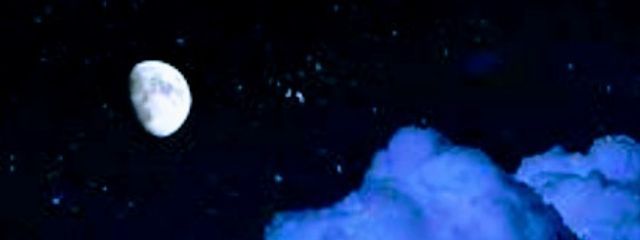 蝶猫🦋さんの壁紙画像