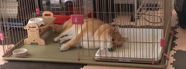 らむねさんの壁紙画像