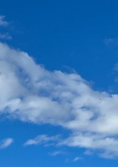 メンバーの恋人です。