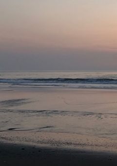 フォロワー様、フレ様方見てください。