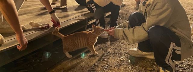 guriさんの壁紙画像