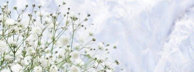 Kさんの壁紙画像