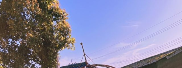 ジナんさんの壁紙画像