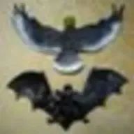 6音💎🎶さんのアイコン画像