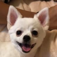 orahuさんのアイコン画像
