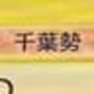 千葉勢さんのアイコン画像