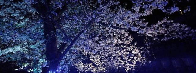 お菓子※アイコン変えましたさんの壁紙画像