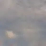 みりんさんのアイコン画像