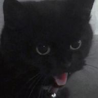 # ゆ ぅ  𓂃  🎧🖤𓈒𓂂𓏸       さんのアイコン画像