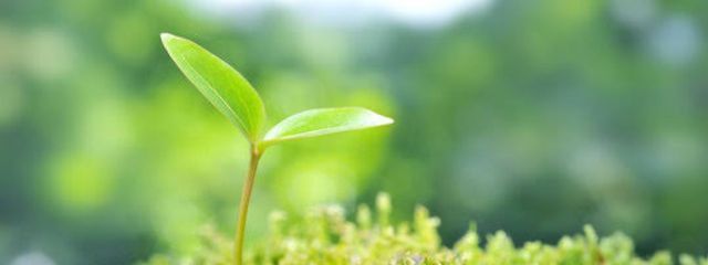 (´・ω・｀)さんの壁紙画像