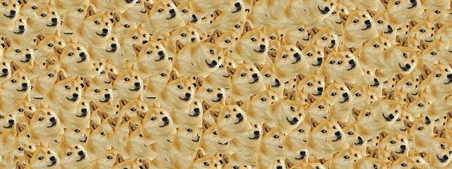 星矢ヾ⁠(⁠･⁠ω⁠･⁠*⁠)さんの壁紙画像