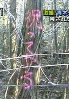 参加型設定置き場