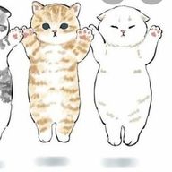 soraさんのアイコン画像