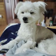 雪 ／ 💉🎀　｟小説更新ほぼ✗｠さんのアイコン画像