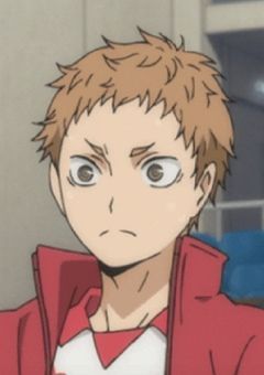 ツンデレマネはネコと上手くやっています