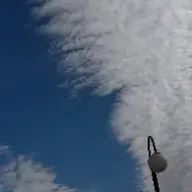 ミキさんのアイコン画像