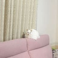 VGさんのアイコン画像