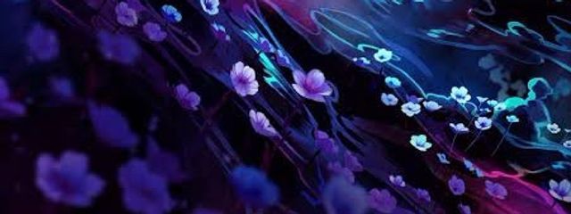 白猫さんの壁紙画像