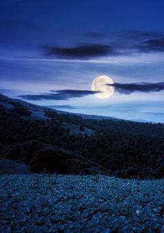 新・魔物殺戮部隊 【完結】