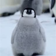 ammmmmmmmmmさんのアイコン画像