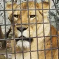 あきさんのアイコン画像