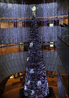 🎧　 ◁  　  ▌▌　  ▷　　🎙️