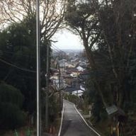 StnightArkさんのアイコン画像