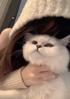 な に わ の マ ネ ー ジ ャ ー は 彼 氏 持 ち .