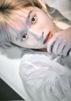 お 試 し か ら で も い い で す か .