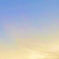 ぽむぽむさんのアイコン画像