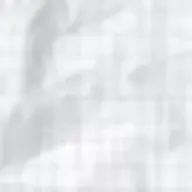 cocoさんのアイコン画像