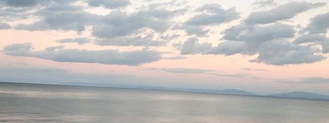 ﾉｯﾁ❁⃘*.ﾟさんの壁紙画像