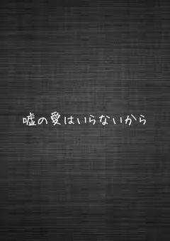 嘘の愛はいらないから＿＿＿＿