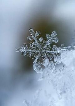 あなたの声が聞きたくて